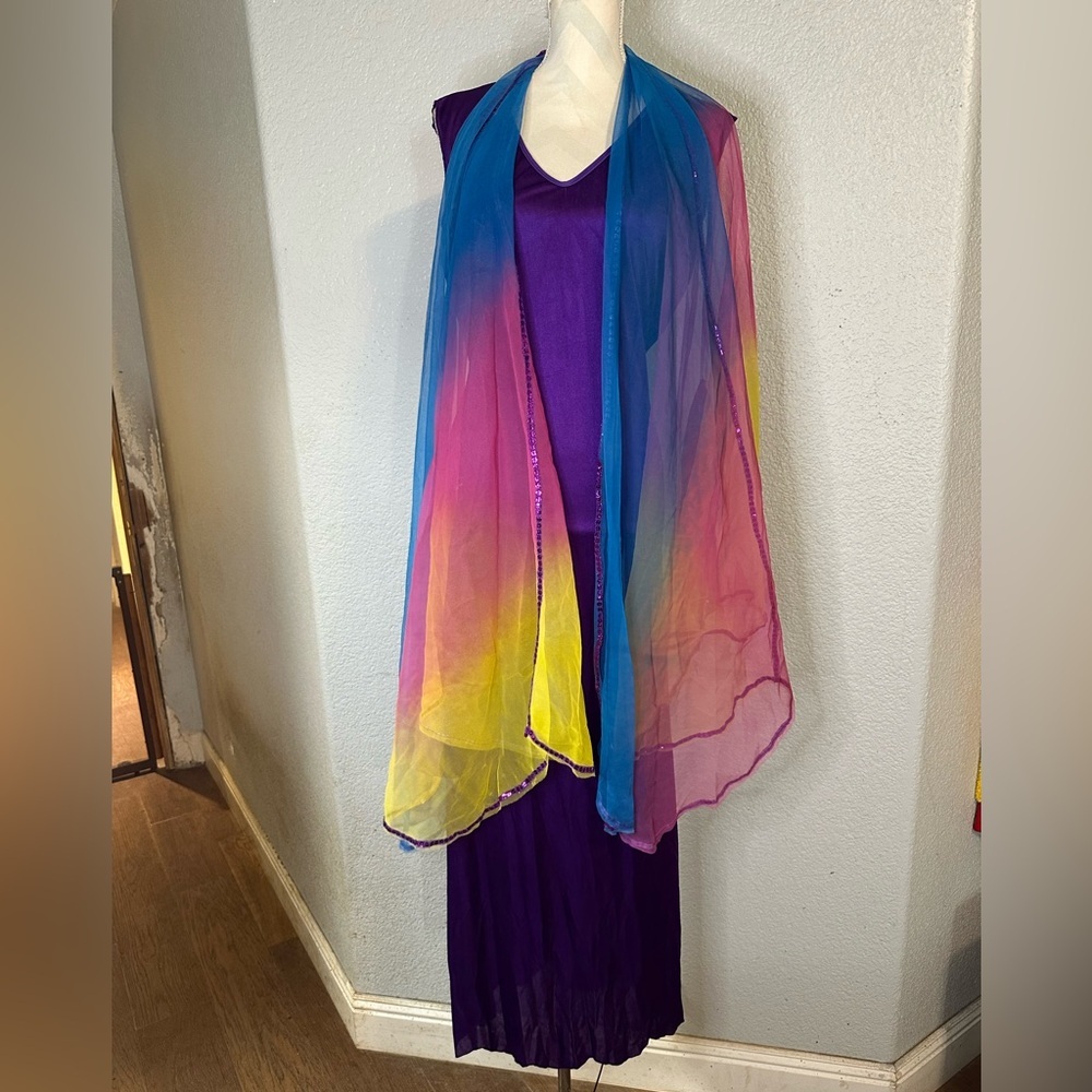 Shimmering Butterfly Costume